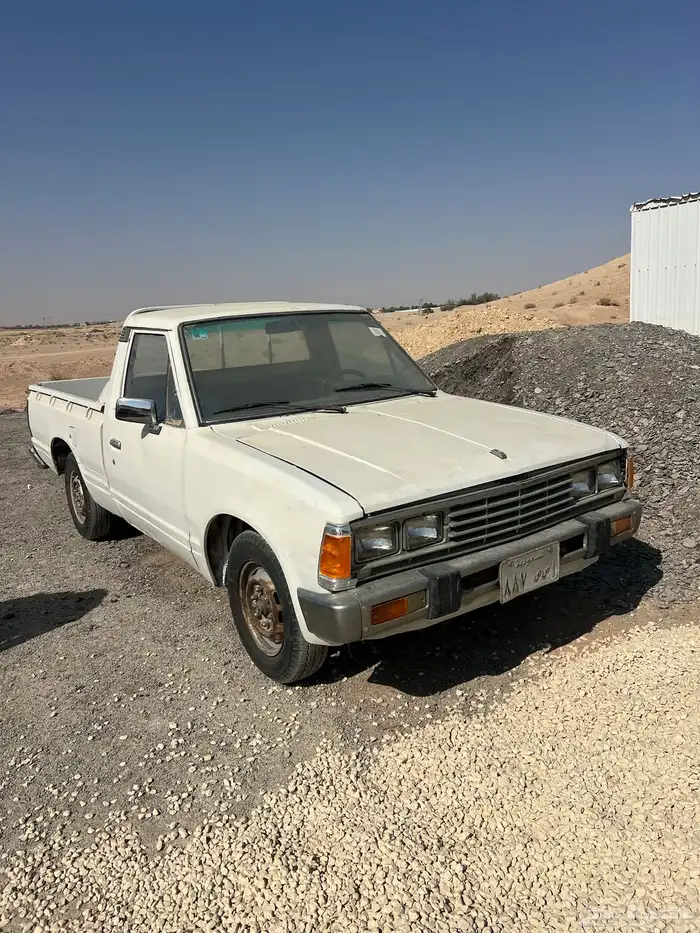 ددسن غماره 84 نظيف 1