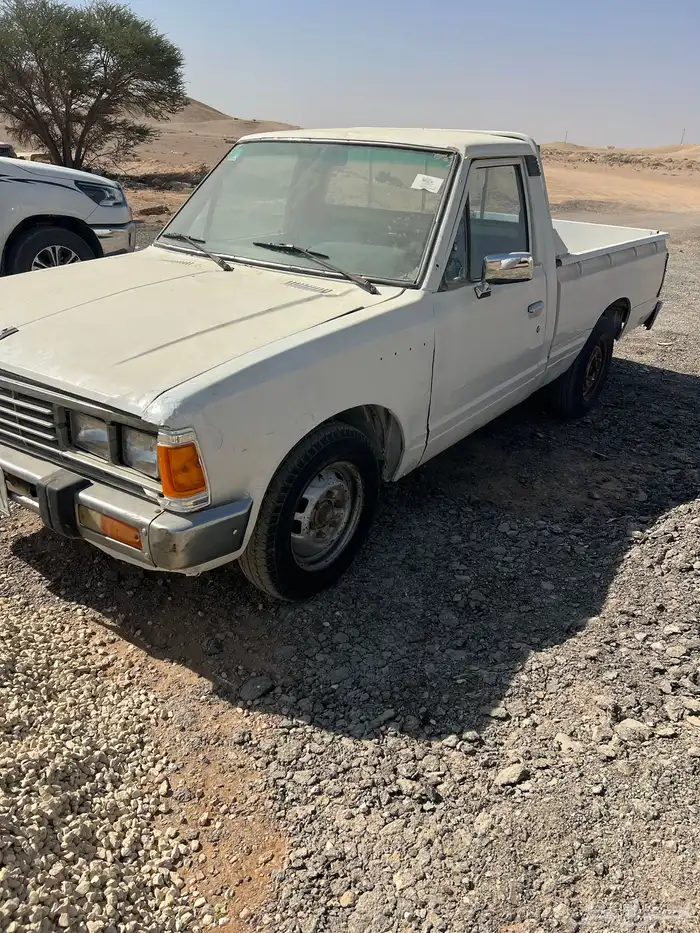 ددسن غماره 84 نظيف 2