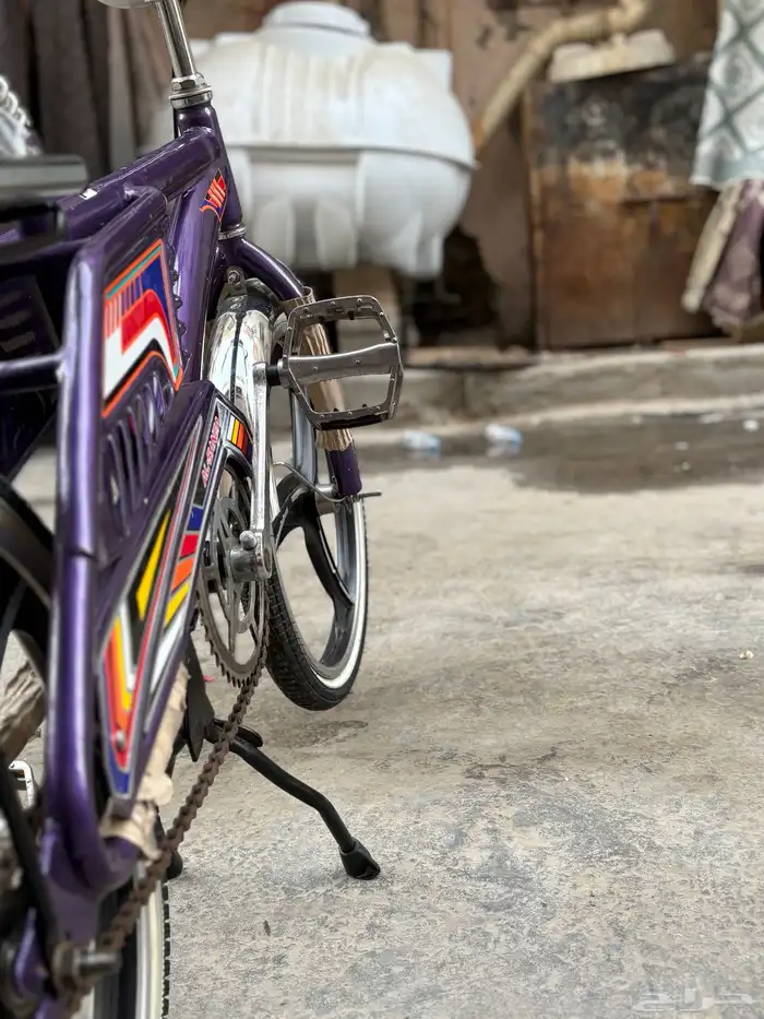 سيكل رامبو على سوام اندنوسي 550 1