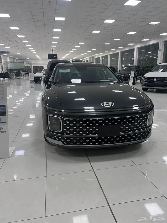 اكسنت سوناتا النترا 21