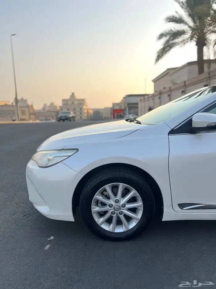 تم البيع تم البيع 12