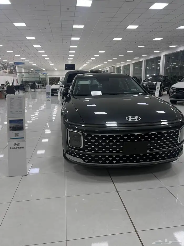 اكسنت سوناتا النترا 22