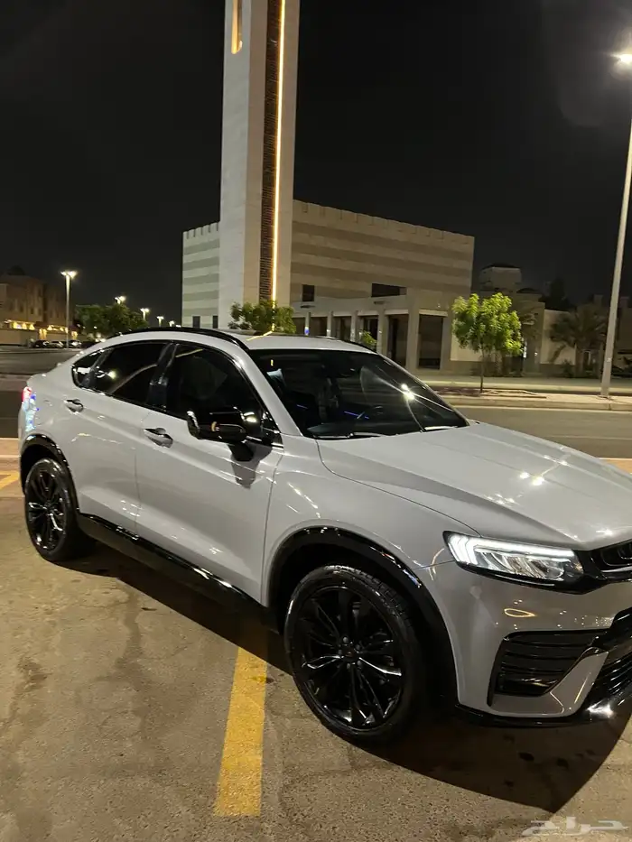 جيلي توجيلا 11