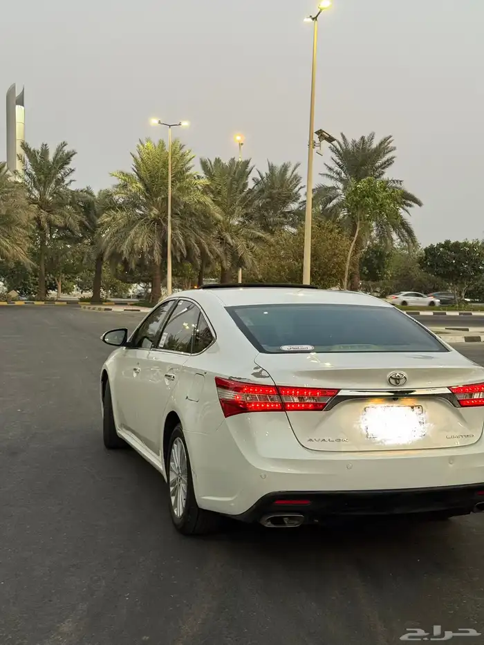 افالون 2014 قمة بالنظافة ممشى قليل 9