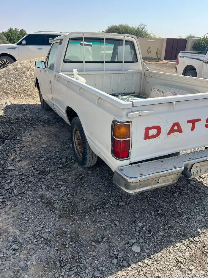 ددسن غماره 84 نظيف 3