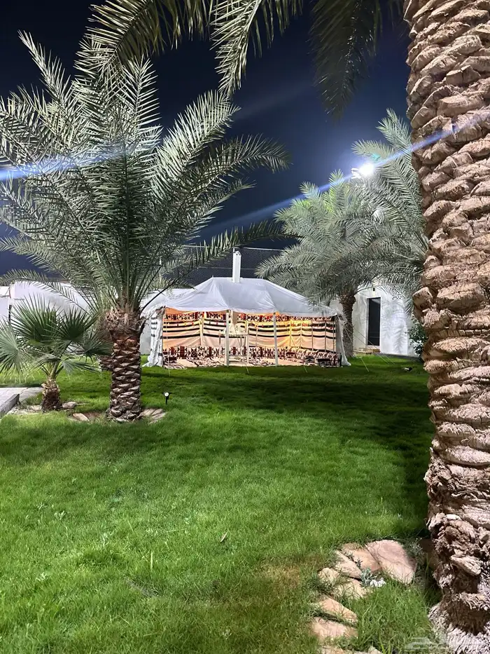 مجالس للاجار اليومي للمناسبات الدمام الفرسان 42