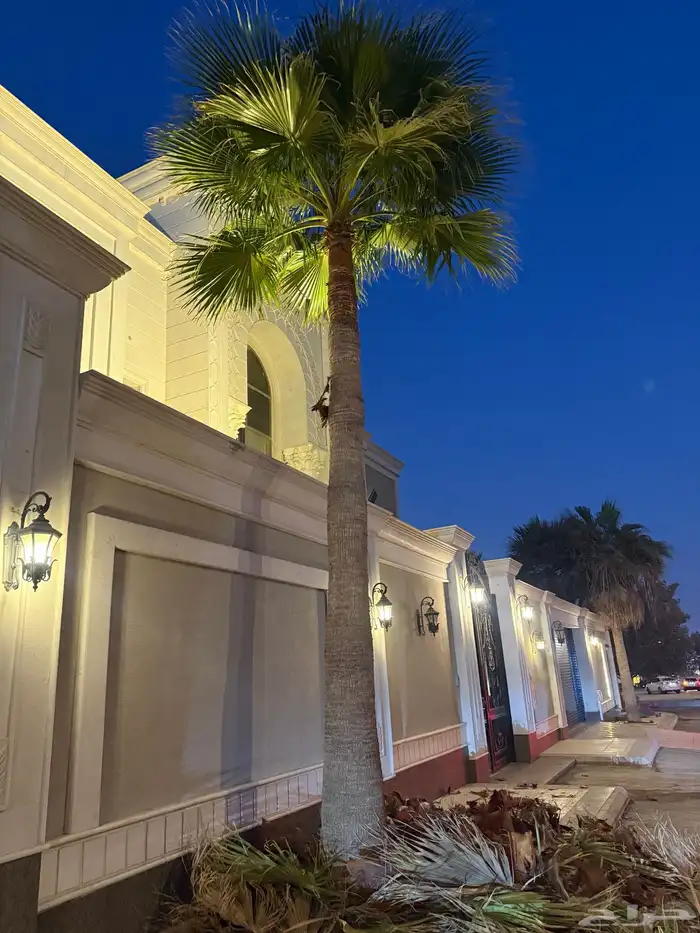 تكريب واشنطني الزينه 0