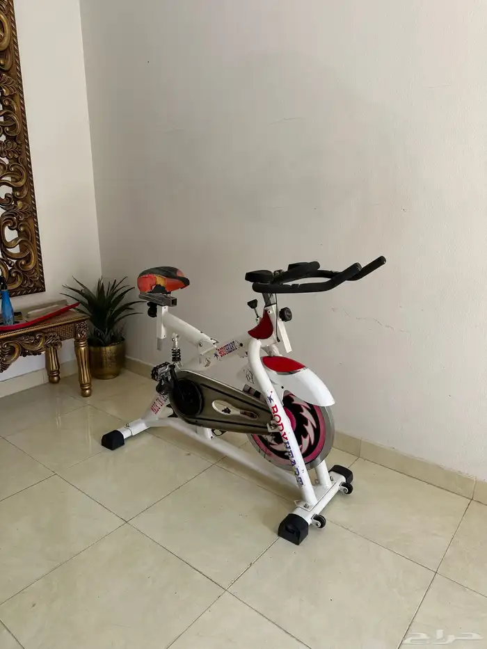 جهاز سيكل ثابت مغناطيسي بسعر مناسب للبيع 2