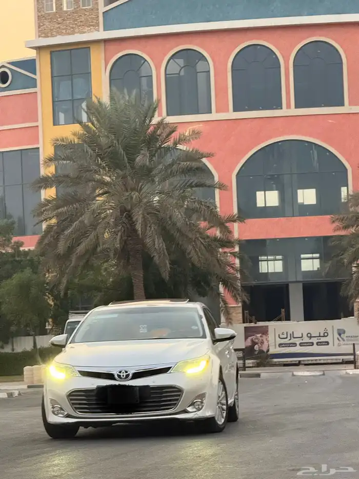 افالون 2014 قمة بالنظافة ممشى قليل 3