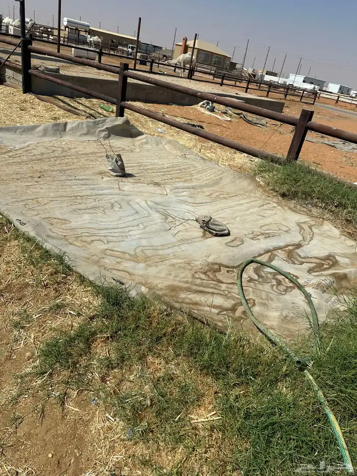 مطاره راويه دينا مستعمله 2