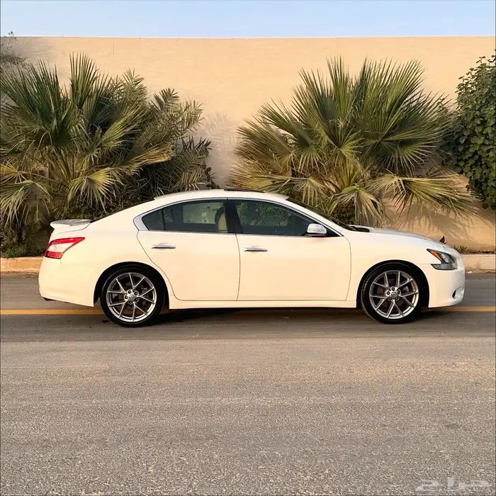 مكسيما 2011 مخزنه 2