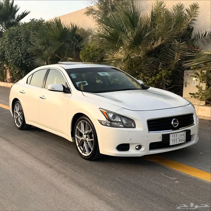 مكسيما 2011 مخزنه 0