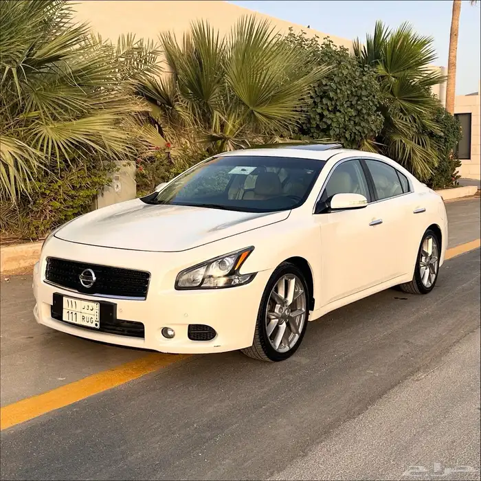 مكسيما 2011 مخزنه 3