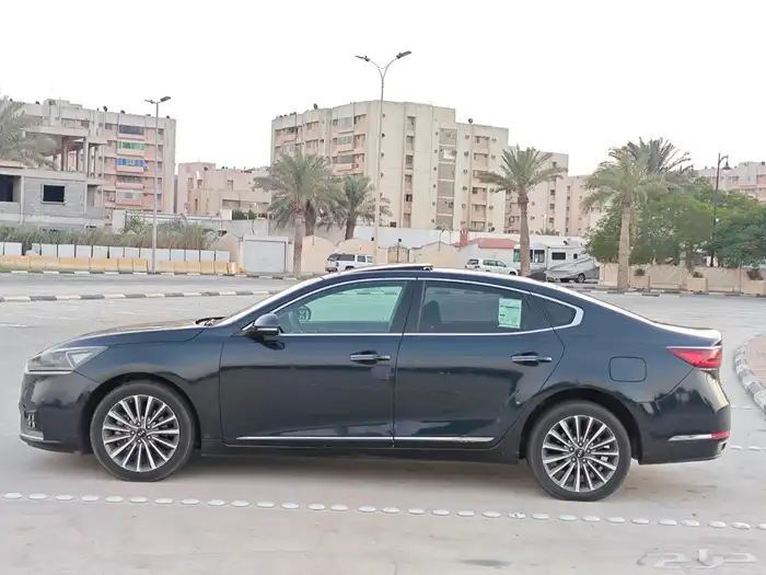 كادينزا 2018 8