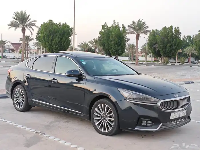 كادينزا 2018 2