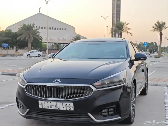 كادينزا 2018 11