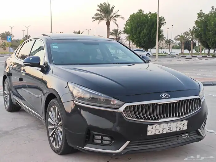 كادينزا 2018 1