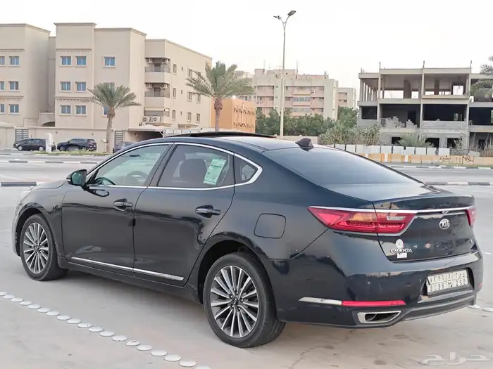 كادينزا 2018 7