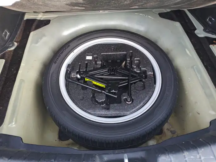 كادينزا 2018 16