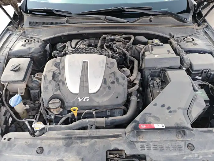 كادينزا 2018 25