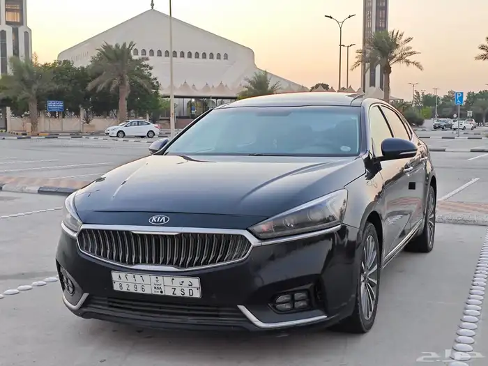 كادينزا 2018 10