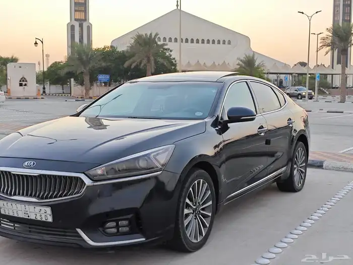 كادينزا 2018 9