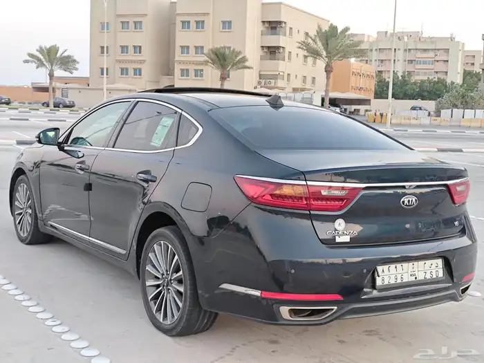 كادينزا 2018 6