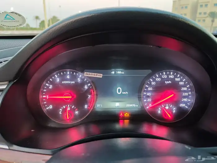 كادينزا 2018 23