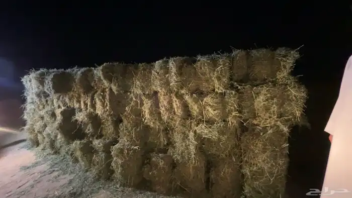 برسيم شد كلاس 2