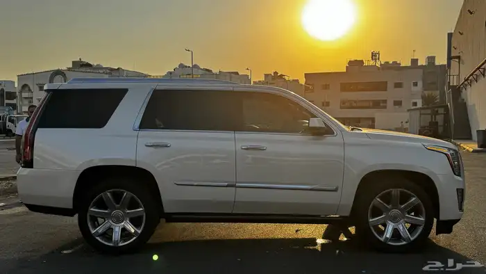 كاديلاك اسكاليد 2015 15