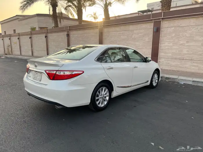 تم البيع تم البيع 19