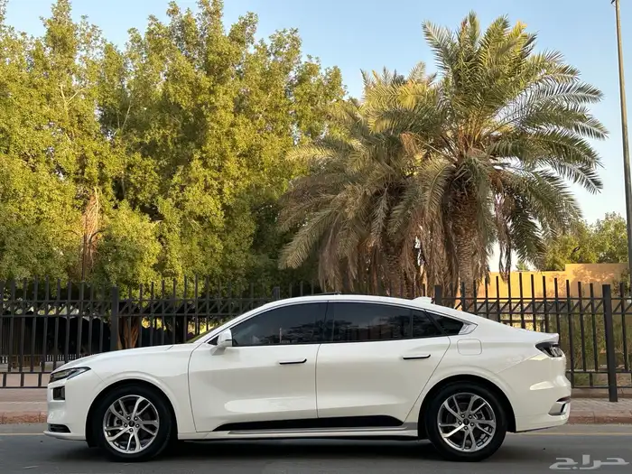 فورد تورس موديل 2023 نص فل ترند بطاقه جمركية 6