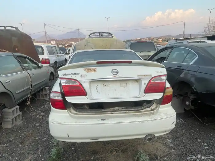 تشليح العمري قطع مكسيما 5