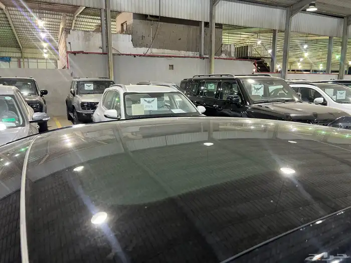 توروس 2026 كل الفئات جديد 13