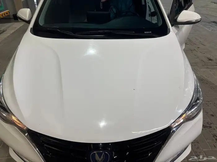 شانجان سفن للبيع 15