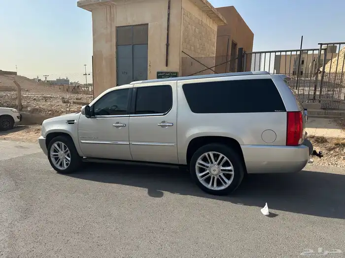 كدلك اسكاليد 2010 3