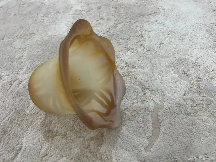 اهل التراث 5