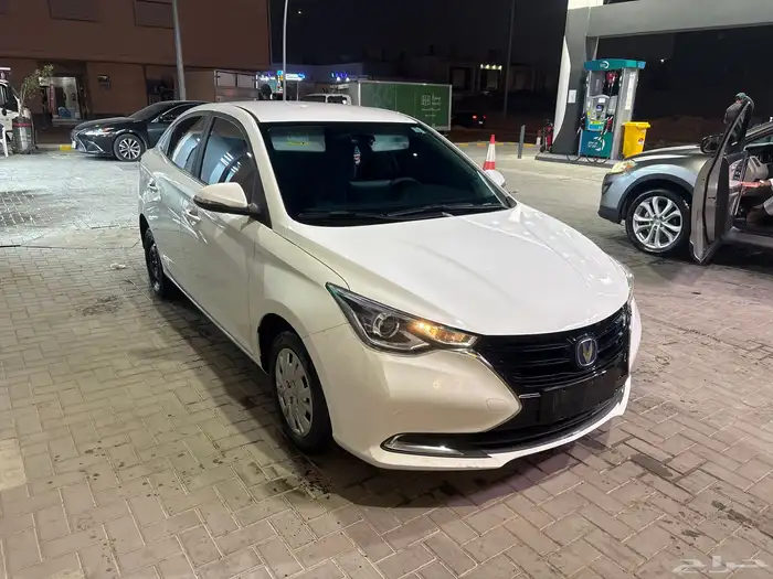 شانجان سفن للبيع 18