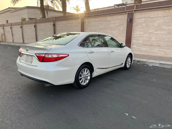 تم البيع تم البيع 20