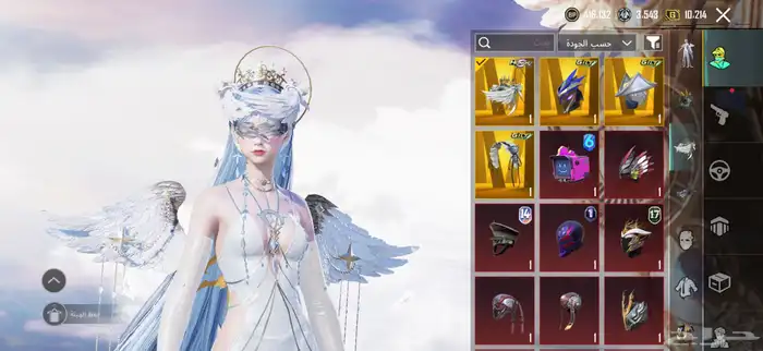 حساب ببجي لفل 80 11