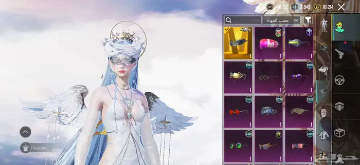 حساب ببجي لفل 80 12