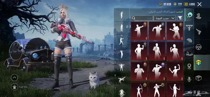 حساب ببجي للبيع 3