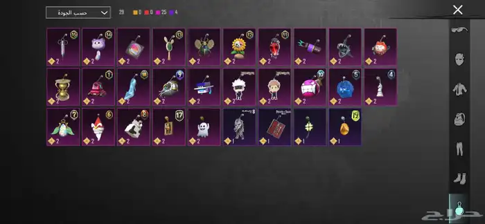 حساب ببجي للبيع 28