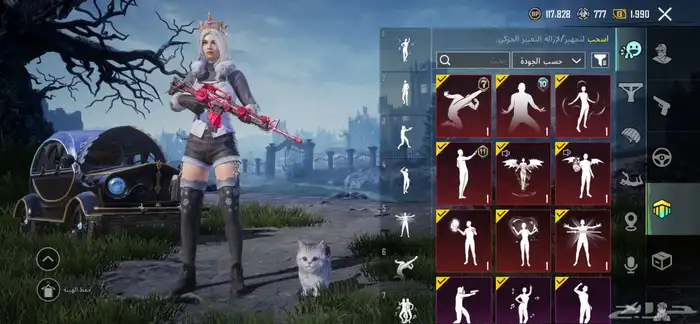 حساب ببجي للبيع 2