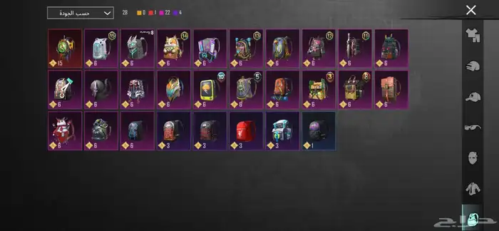 حساب ببجي للبيع 25