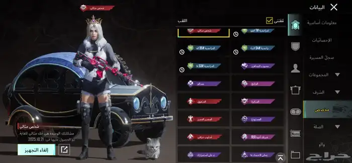 حساب ببجي للبيع 89