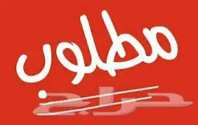 مطلوب شقة او استديو للايجار الشهري في KAEC 0