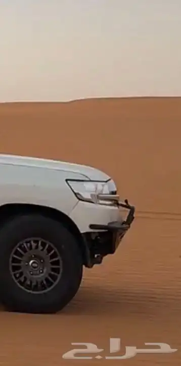 صدام صب للبيع 2