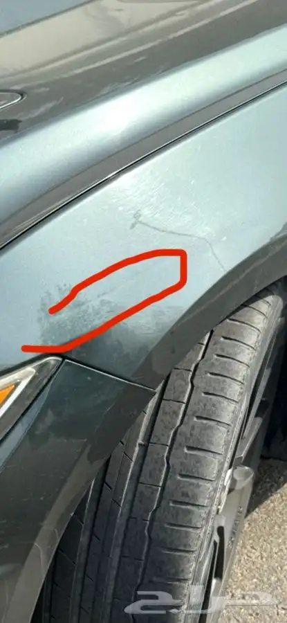 موستنق 2016 GT 5.0 سعودي للبيع 4