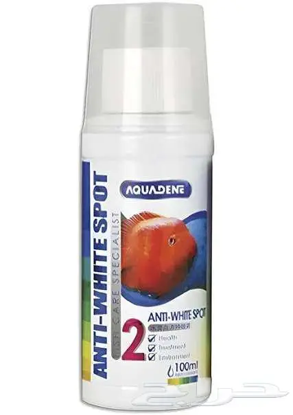 سمك 15 ريال محل نوادر خميس مشيط 2